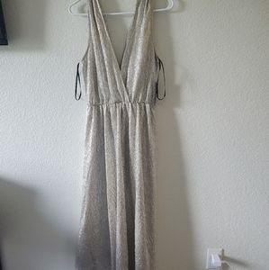 Lula's Silver Gown
